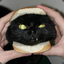 CatSandwich
