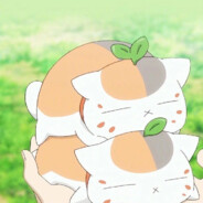 Мявк( ･_･)♡