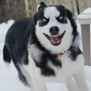 就一个字  狙他