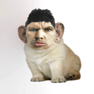 Никита Гусев | Cortex