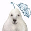 Pluutoo