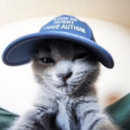 kitz1p avatar
