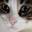 Qrispy
