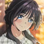 rofanish-