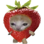StrawberryCat