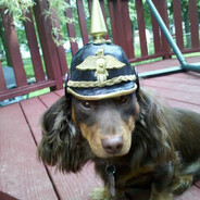 kaiser
