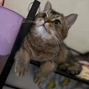 .,?!'-/:;()$&@"oiiiiiii