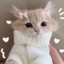 ♥ ZuZu ♥