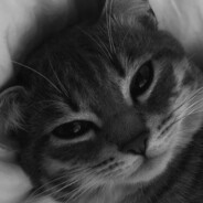 тринадцатый