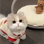 火辣辣披萨大王