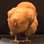 OrangeRobotMK5