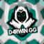 D4RWIN 66