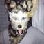 furrygucci