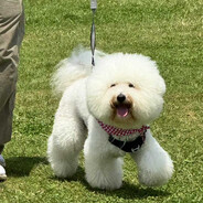 九九九九九九九