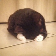 charyQAQ
