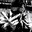 Darknight_360