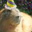 Festive Capybara