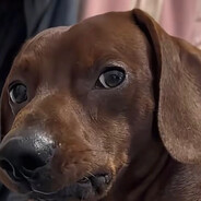 队友干拉至今未归