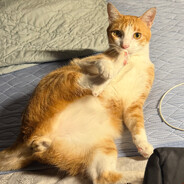 គ្មានឈ្មោះ