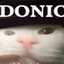 Pomidor