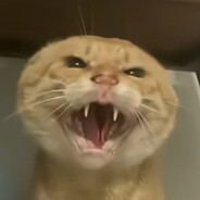 欺负一只耄耋？