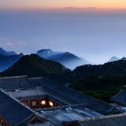 浩浩爱吃四菜一汤