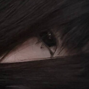 амбассадор куни