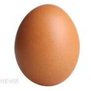 egg