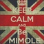 MrMiMole