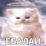 охраник лоутаба - steam id 76561198770356555