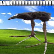 DAMN!!!!!!!!