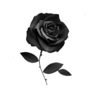 偏我来时不逢春