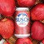 Busch Light Apple