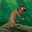 Timon avatar