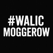 #WALIĆMOGGERÓW - steam id 76561199221174120