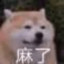苏麻很倒霉