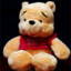 Adult bear puuu