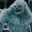 Yeti