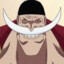 Whitebeard