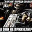 Avatar of VOLCHANKA