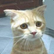 iam165 - steam id 76561197964716248