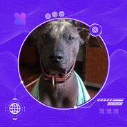 Otto - steam id 76561197960287860