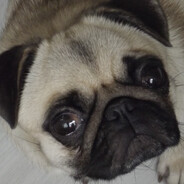 ищу игроков пик