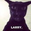 evil larry