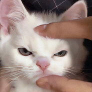 小精灵热爱去雪山调酒