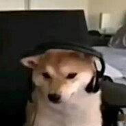 河口马枪王曼巴