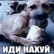 Bobek avatar