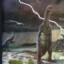 DinoindaRain