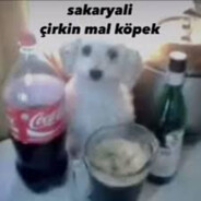 GloRR