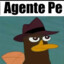 agente rayito